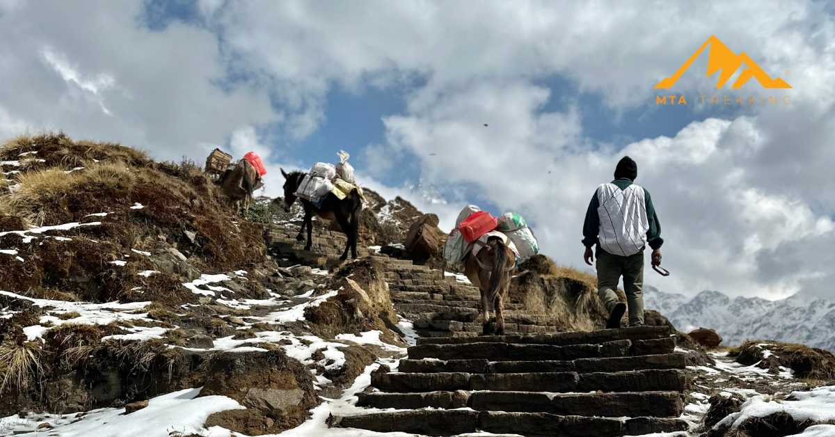 Annapurna Base Camp Trek